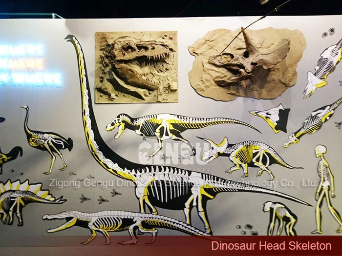 Giant Dinosaur Fossil Dinosaur Skeleton Exhibit Dinosaur Fossil Skeleton