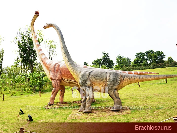 Dinosaur Manufacturer Life-Size Brachiosaurus Exhibit Dinosaur