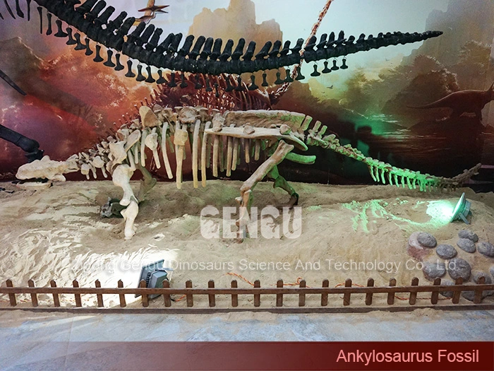 Ankylosaurus Fossil Dinosaur Fossil Sale Replica Giant Dinosaur Fossil
