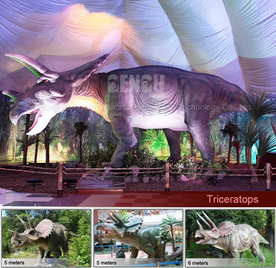 Buy Animatronic Dinosaur Triceratops