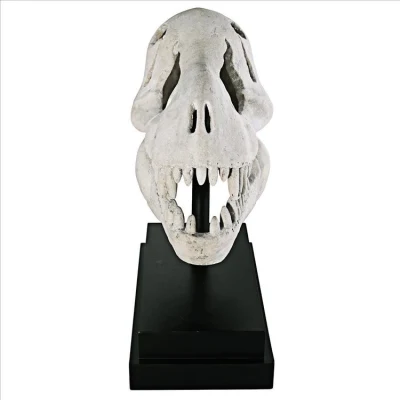 Naves Venta caliente estatua Polyresin moderna estatua de Animal House Decoration dinosaurio fósil cráneo maravilla de la estatua de Don
