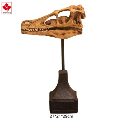 Mundo jurásico el cráneo de dinosaurio Velociraptor de simulación de decoración decoración artesanía
