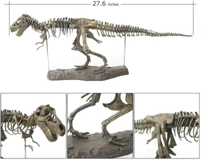  Dinosaurio cráneo a medida Juguetes montados Figuras fábrica PVC Colección muñeca Juguetes de plástico