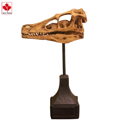 Mundo jurásico el cráneo de dinosaurio Velociraptor de simulación de decoración decoración artesanía