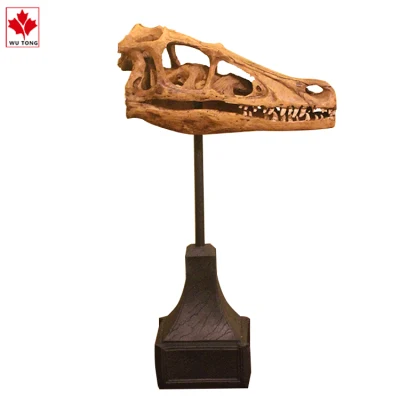 Mundo jurásico el cráneo de dinosaurio Velociraptor de simulación de decoración decoración artesanía