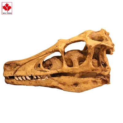 Mundo jurásico el cráneo de dinosaurio Velociraptor de simulación de decoración decoración artesanía