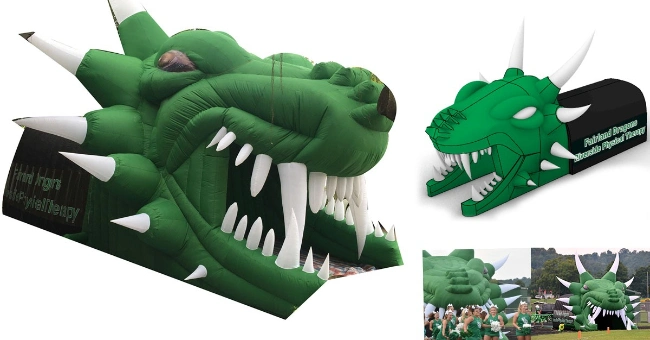 2023 New 25&prime;x50&prime; Giant Inflatable Realistic Triceratops Dinosaur (front view)