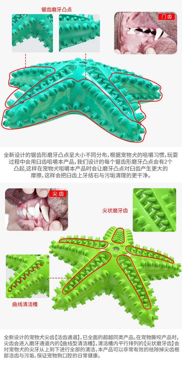 Molar Stick Starfish Dinosaur Crocodile Teeth Cleaning Bite Resistant Leakage Toy Dog Toy