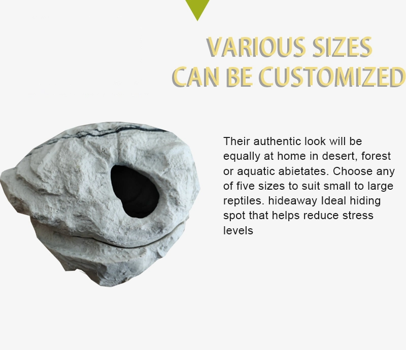 Custom Reptile Resin Big Size Dinosaur Skull Head Hiding Cave Decor