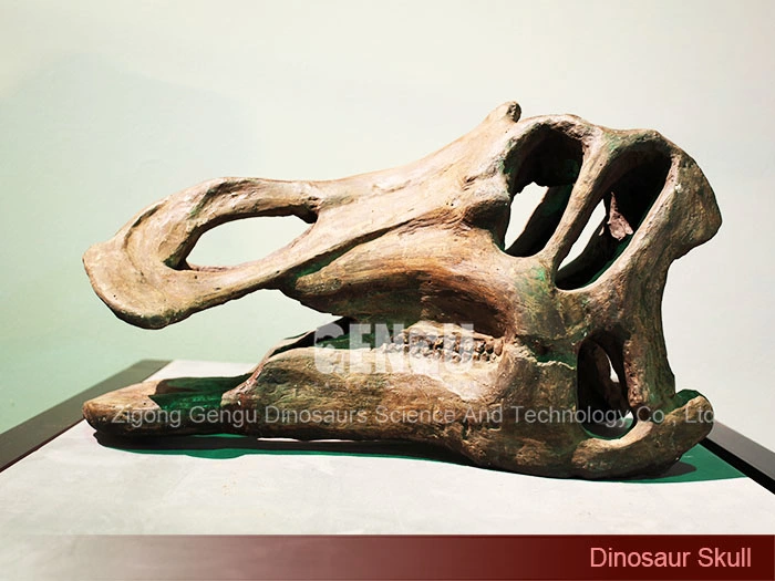 Dinosaur Skeleton Exhibit Replica Dinosaur Fossils for Sale
