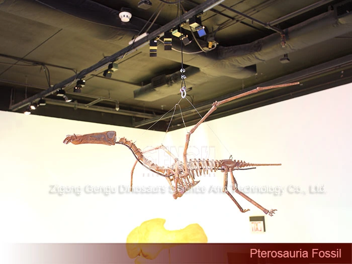 Complete Dinosaur Fossils Dinosaur Vertebrae Pterosauria Fossil