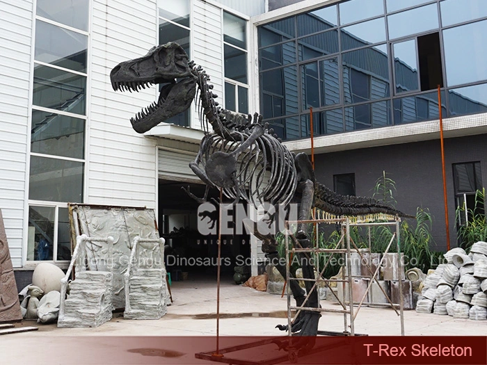 Life Size Dinosaur Skeleton Dinosaur Vertebrae for Sale T-Rex Skeleton