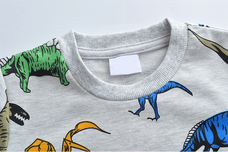 New Cute Colorful Dinosaur Hoodies Sweatshirt Pullovers Tops Hooded Girls Boys Teens Gray Hooded Clothes 2022