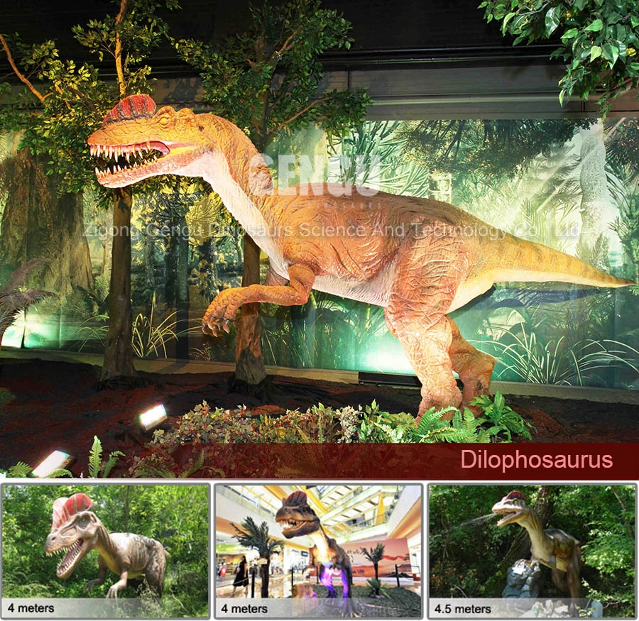 Showroom High Simulation Dinosaur Specimens