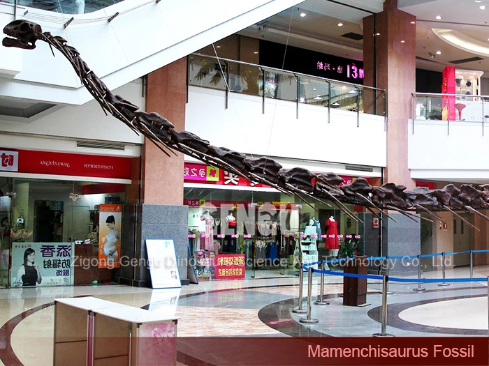 Dinosaur Fossil Molds Dinosaur Replica Fossils Mamenchisaurus Fossil