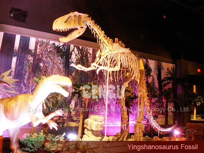 Dinosaur Fossil Replica Giant Dinosaur Fossil Yingshanosaurus Skeleton