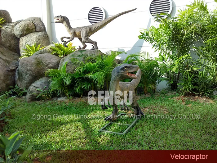 Outdoor Display Velociraptor Life Size Dinosaur Sculpture
