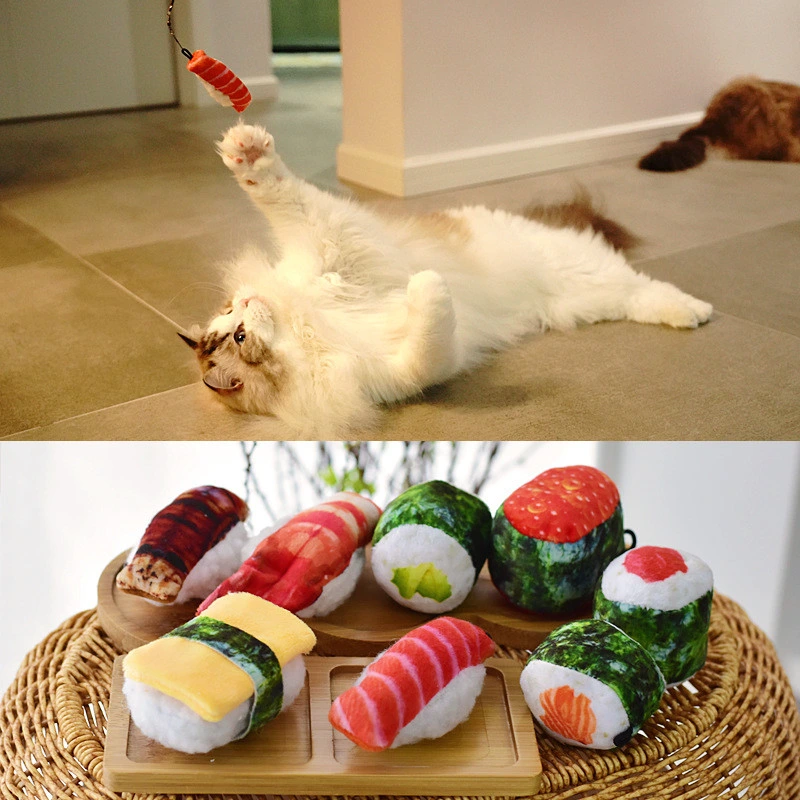 Most Popular Teaser Adjustable Durable Cute Customized Classic Pack Cat Toy Cat