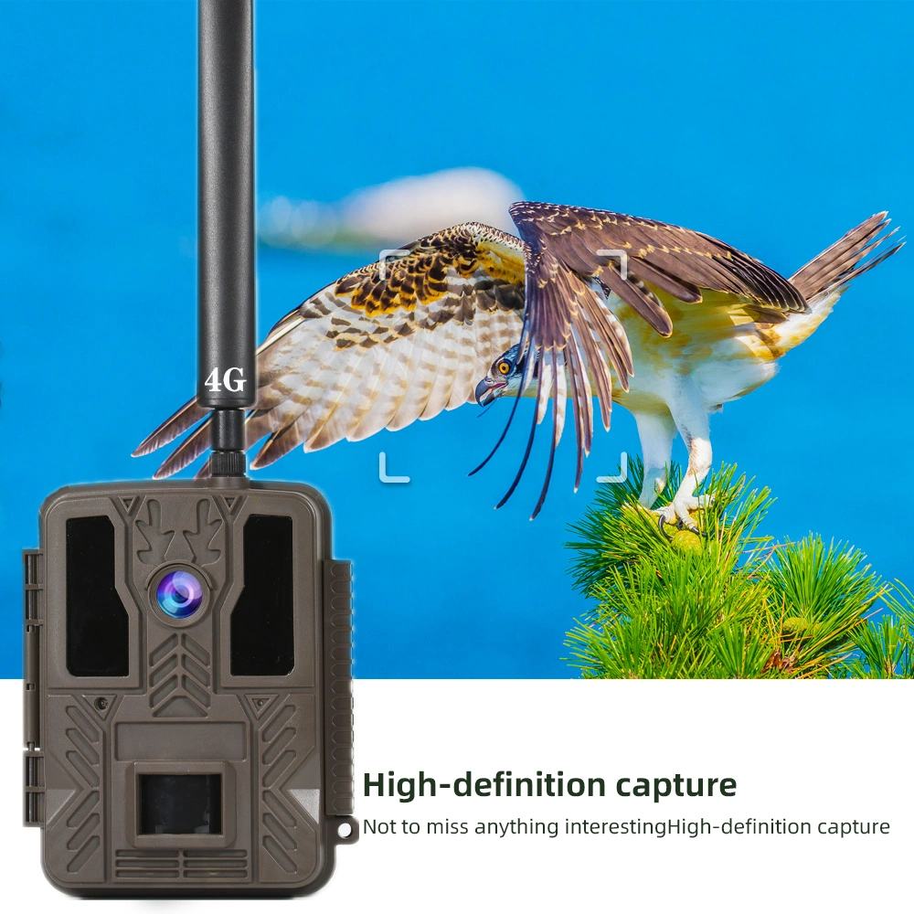 Wireless Digital Hunting Cameras LTE 36MP 1080P 100FT Detection Range Invisible Infrared 4G Hunting Trail Camera