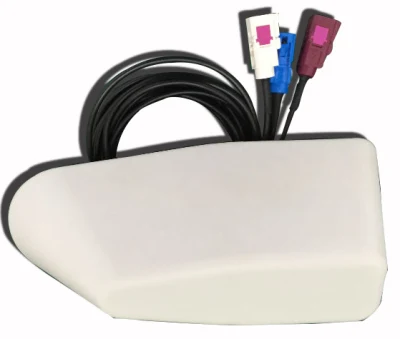 Antena multifunción AM/FM/2g/3G/GPS para coche