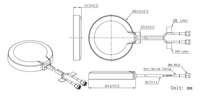 2 in 1 Lte GPS Combo Antenna Vertical Polarization for Asset Tracking