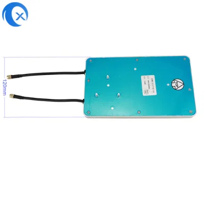 Antenna da pannello da 2400-2500 MHz 11 dBi con antenna direzionale interna Guadagni elevati