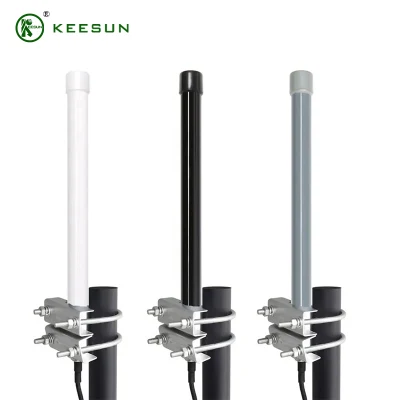 Helium 868 MHz 915 MHz Wi-Fi per esterni FRP Omni Lora Communication Dual Antenna a banda