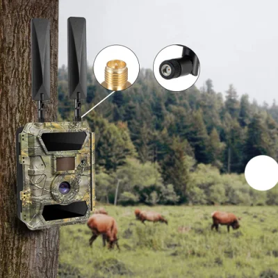 Antenna a pale 4G LTE connettore SMA antenna omnidirezionale esterna nero E bianco opzionale