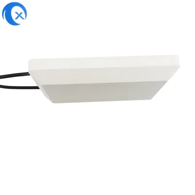 Antenna da pannello da 2400-2500 MHz 11 dBi con antenna direzionale interna Guadagni elevati