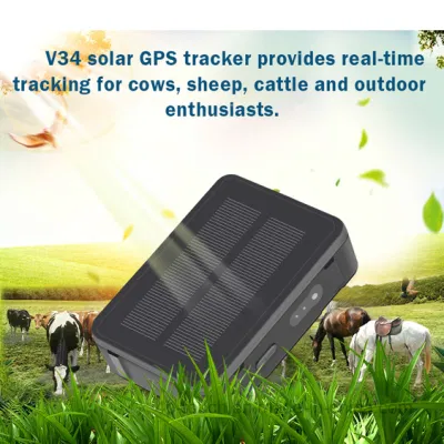 Cina produzione IP67 impermeabile 2G GSM lunga durata della batteria flotta Dispositivo di tracciamento GPS del veicolo con contenitore di gestione con monitoraggio di sicurezza V34