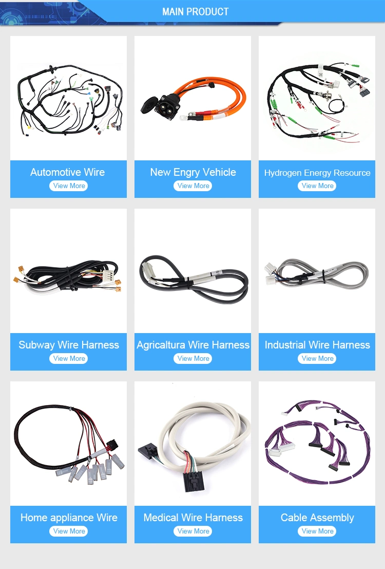 Manufacturer Customized Zh pH Eh Xh 1.0 1.25 1.5 2.0 2.54mm Pitch 2 3 4 5 6 Pin Custom Automotive Electrical Jst Molex Tyco Wire Harness Terminal Cable Assembly