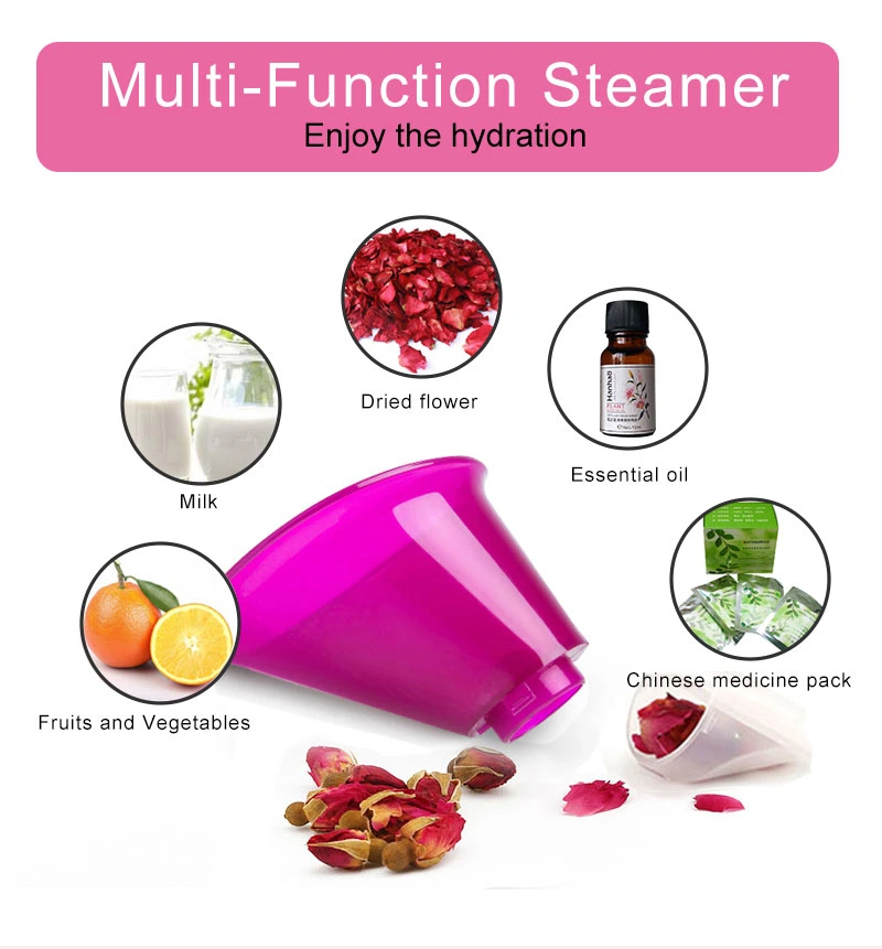 Beauty Products Portable Handheld Face Spray Electric Steamer