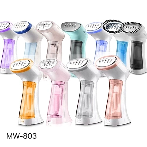 Factory Wholesale OEM 250ml 2000W Multifunction Handheld Clothes Garment Steamer with Stainless Steel Head