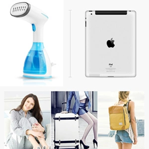 High Quality Portable Professional Mini Handheld Facial Clothes Steamer