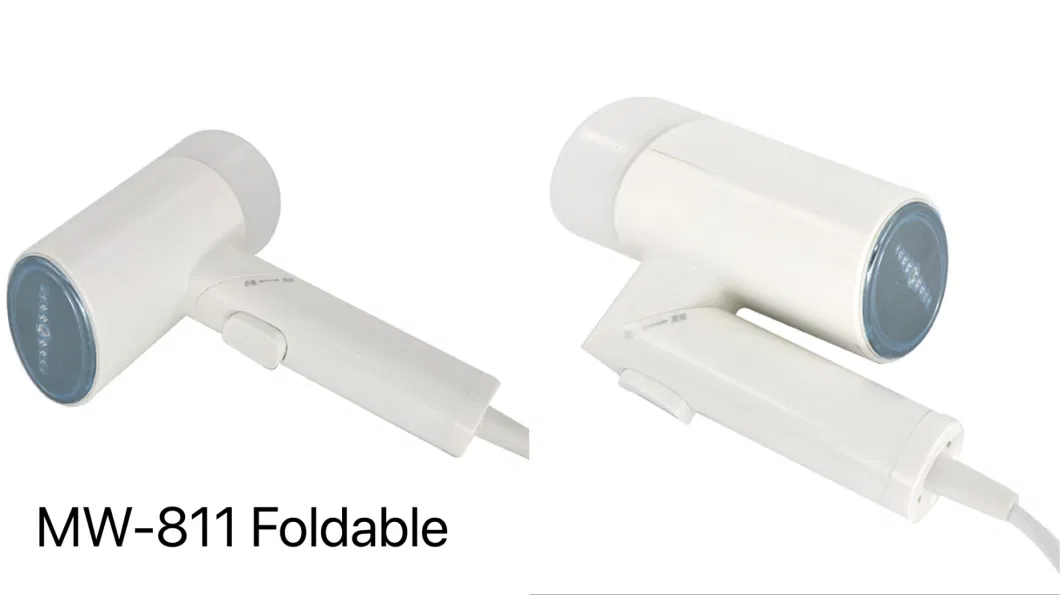 Foldable Handheld Garment Steamer