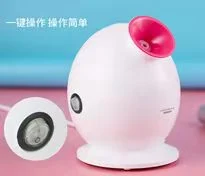 Warm Nano Mist Facial Steamer Skin Moisture Ionic Facial Steamer