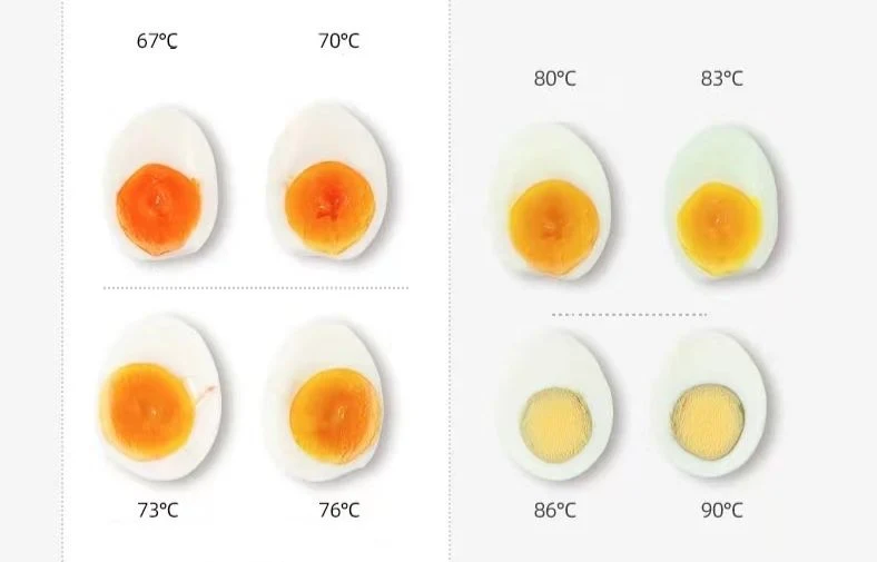 300W Electric Cordless Stackable Egg Food Steamer