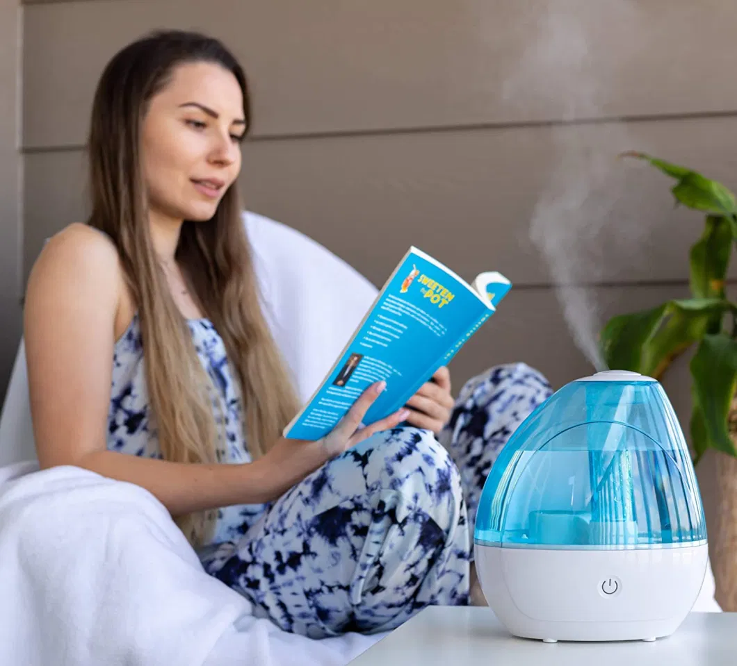 Portable Small Tr-1802 2L Nebulizer Air Ultrasonic Humidifier Facial Steamer