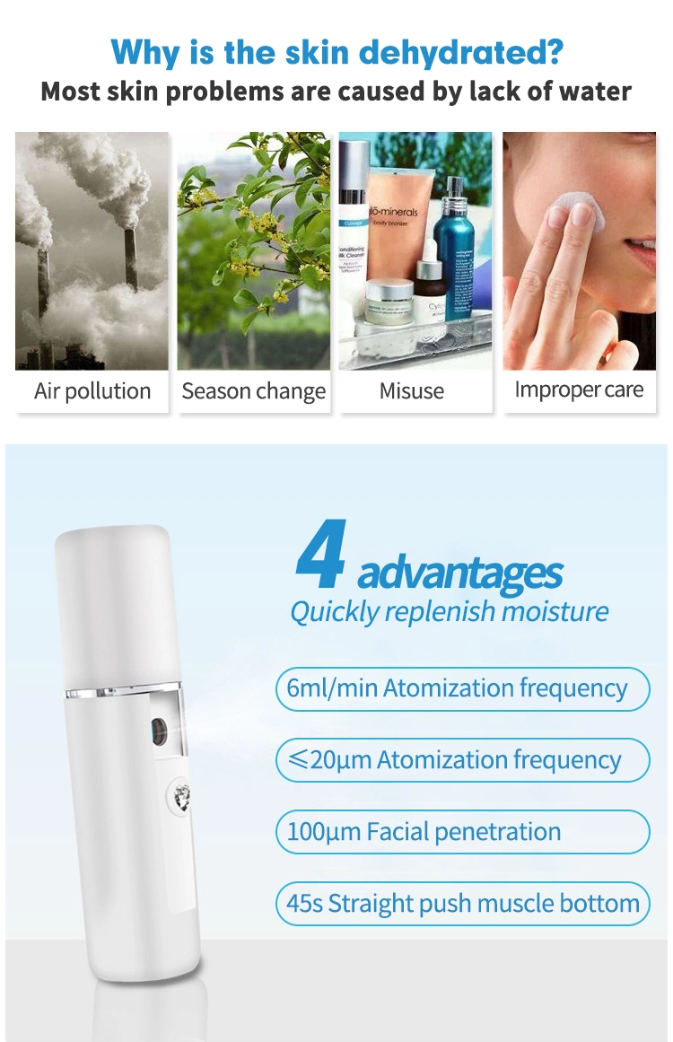 Pocket Handy 20ml Portable Ion Disinfect Facial Nano Mist Sprayer Face Steamer Professional Beauty Instrument