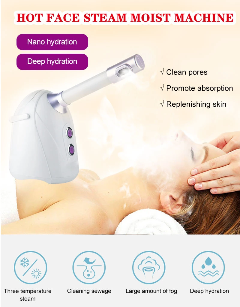 Low Price Facial Steamer Professional