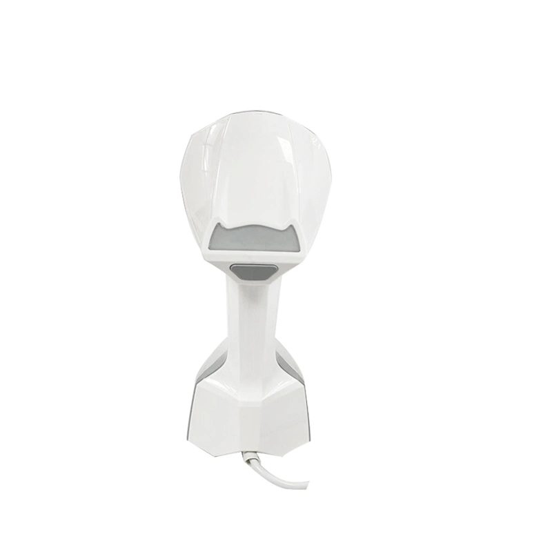 New 2000W Handheld Portable Garment Steamer for Clothes