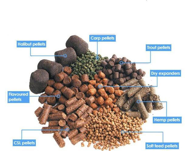 Professional Manufacturer Fish Pet Cat Dog Feed Pellet Processing Machinery