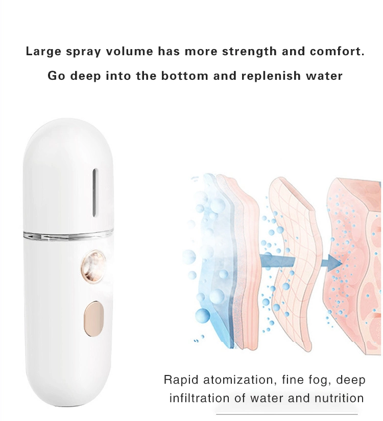 Hot Sale Use Face Portable Mini SPA Facial Steamer