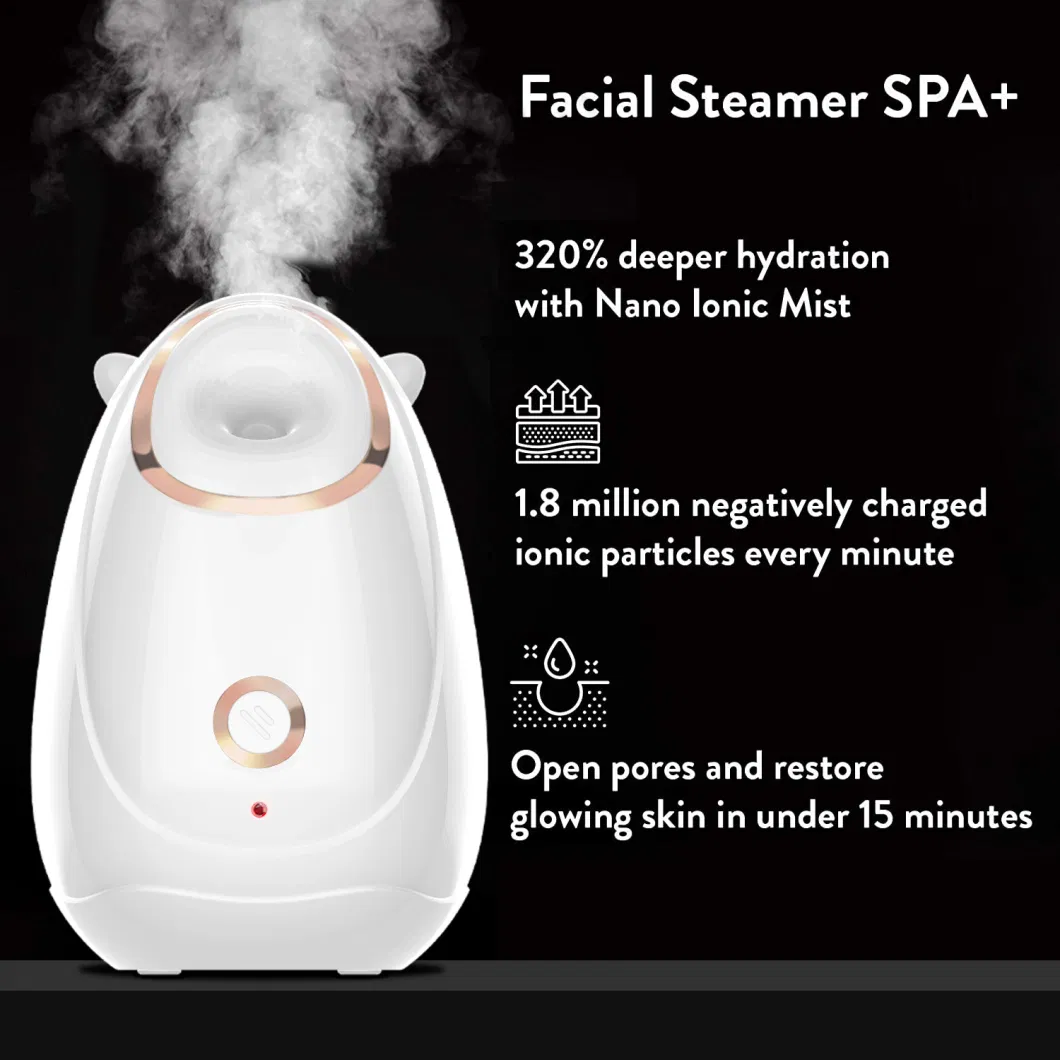 Wholesale Factory Hot SPA Professional Nano Ionic Mini Face Facial Steamer