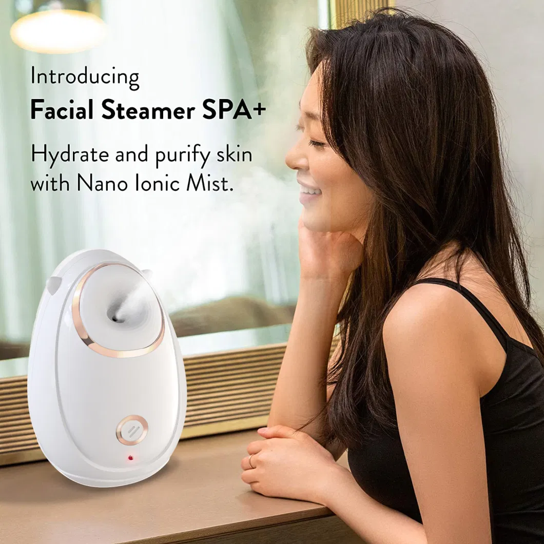 Wholesale Factory Hot SPA Professional Nano Ionic Mini Face Facial Steamer