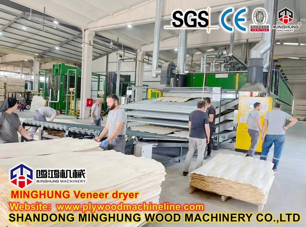 Beech Veneer Drying Dryer Machine for Plywood Veneer Making Machine