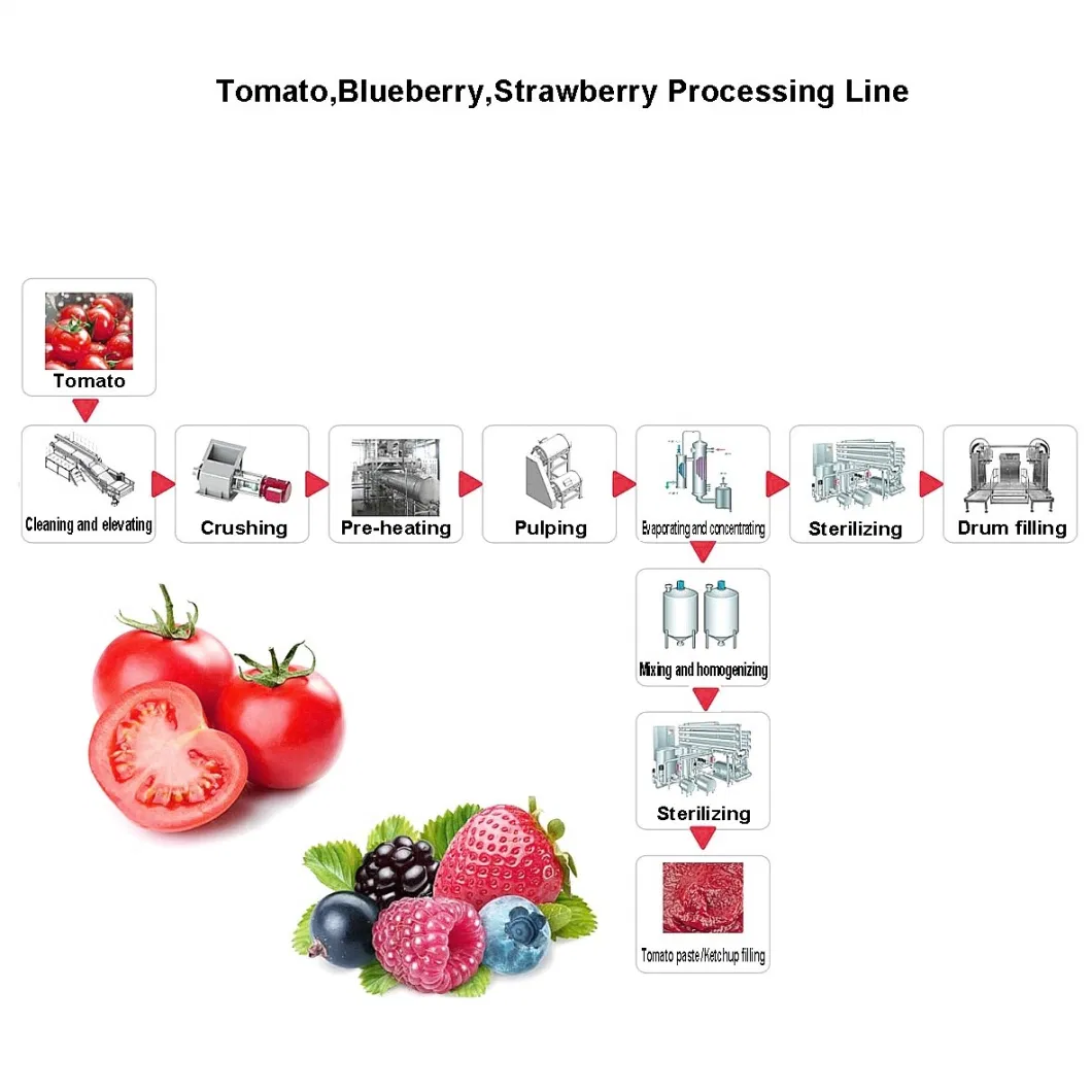 Advanced Technology tomato paste processing machine Automatic Industrial Paste Processing Equipment