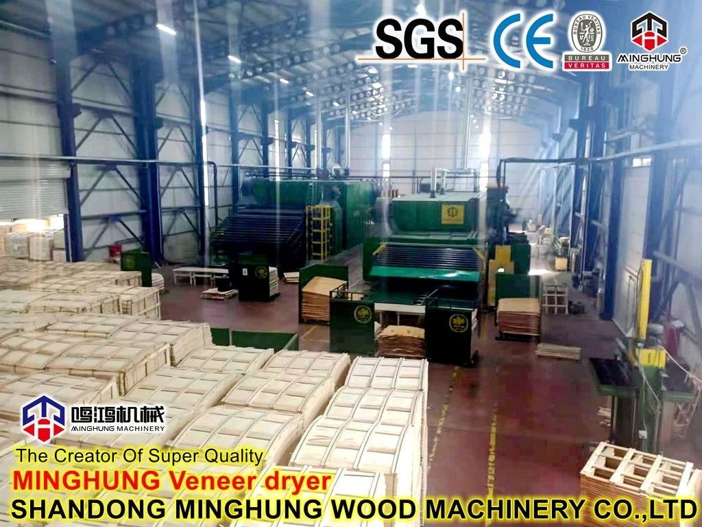 Beech Veneer Drying Dryer Machine for Plywood Veneer Making Machine