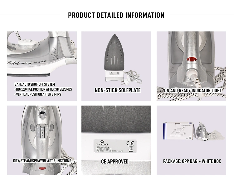 Auto Shut-off 220-240V 1600W Silver Steam Iron with Euro Plug