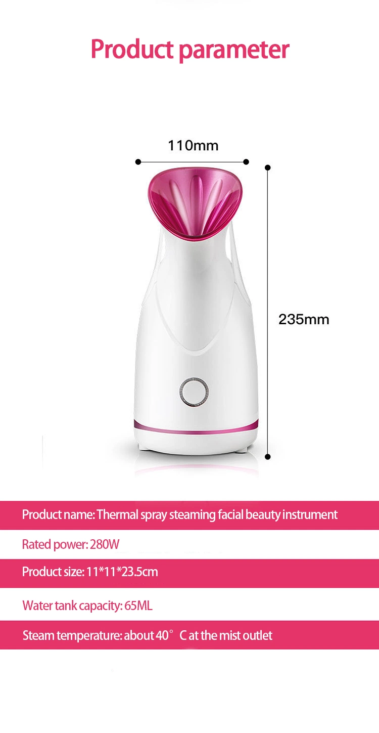 Portable Plastic Facial Steamer SPA Warm Mist Hot Facial Steamer